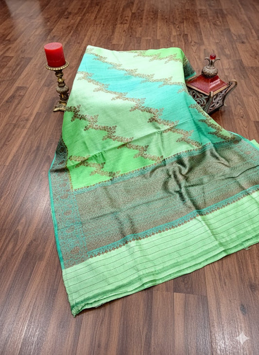 Ombre Mint Green Saree with Cascading Vine Threadwork and Antique Zari Border - SS 323